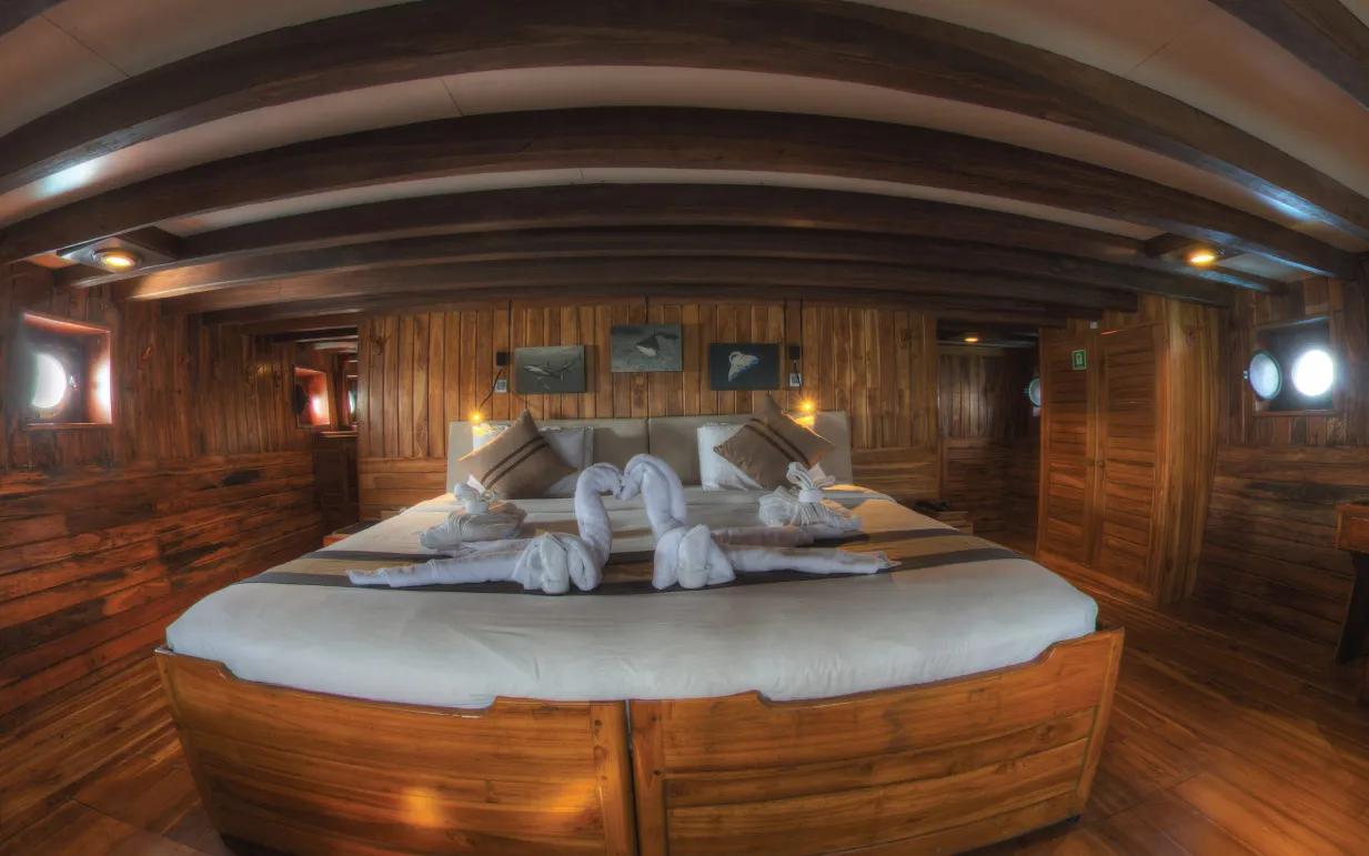 Cabin 5