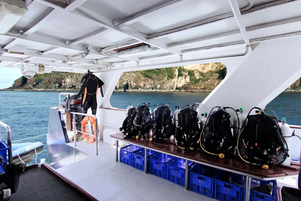 Dive Deck
