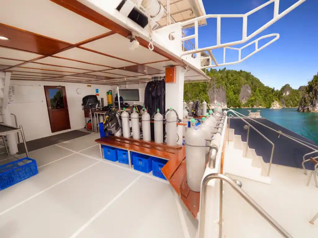 Dive Deck