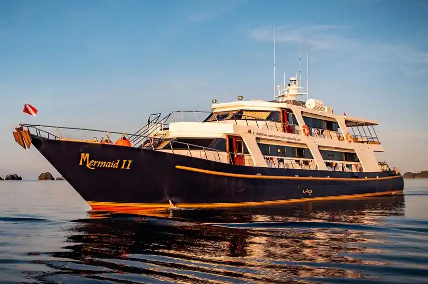 Mermaid II - 1