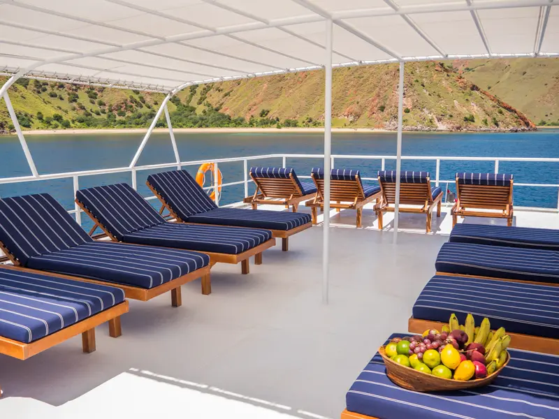 Sun Deck