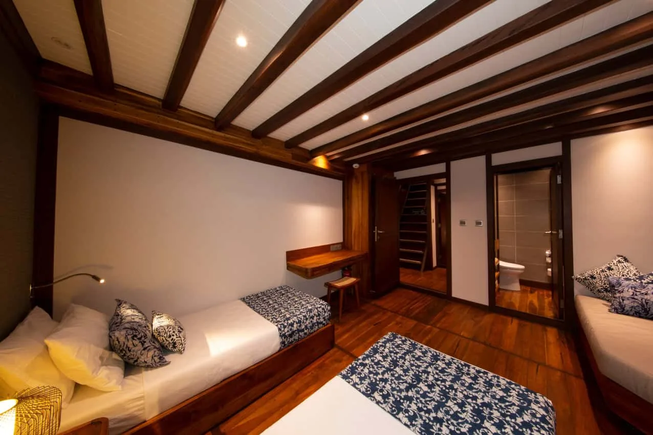 Coralia lower deck twin cabin with two separate beds