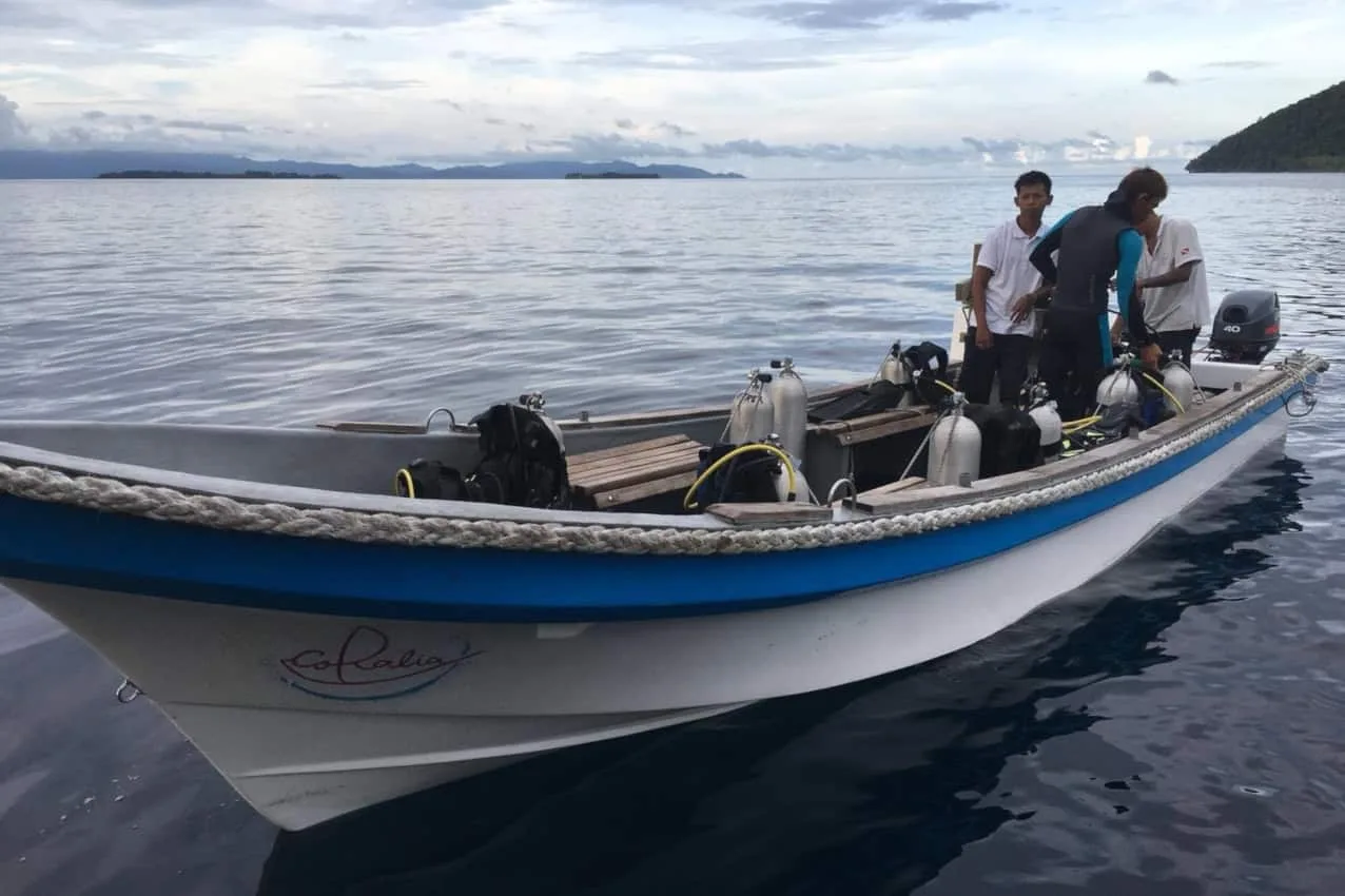 Coralia Liveaboard dive tender