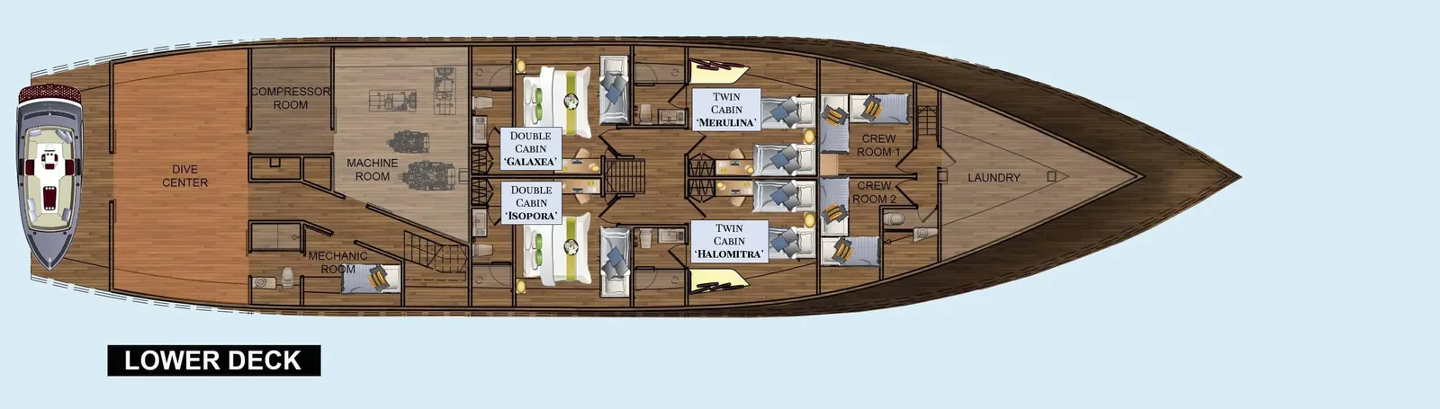 Coralia Liveaboard lower deck plan
