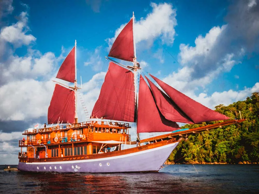 Aerial view of Neomi Cruise Phinisi