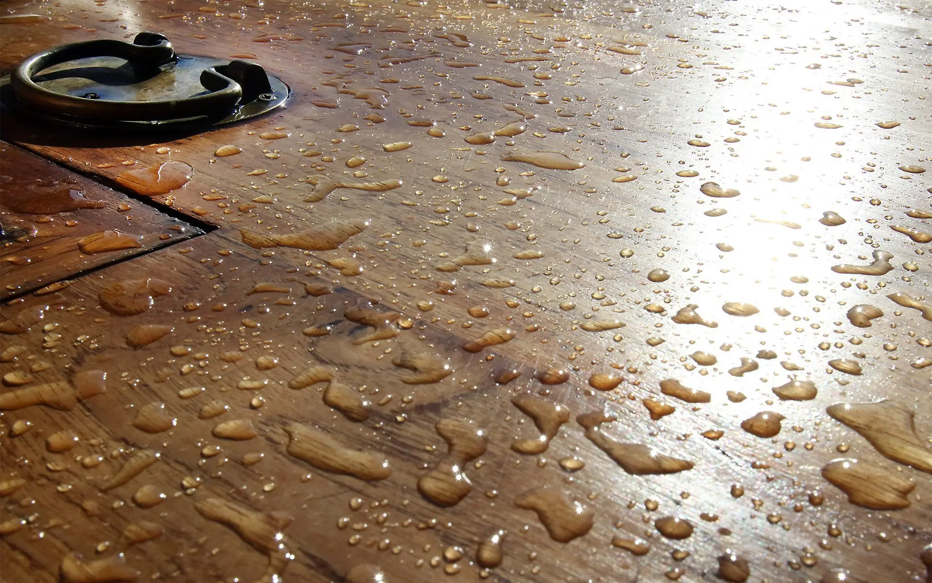 Water Droplets on Tiare Liveaboard Deck | Indonesia Juara Trip